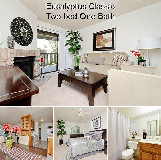 1st image of 3823 Colina Dorada Dr APT 106