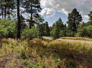 77 Blue Ridge Cir, Bayfield, CO 81122