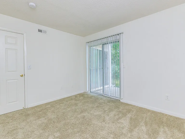 Pinetree — Photo 26