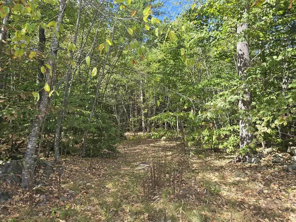 423-56 Griffin Road, Gilmanton, NH 03237