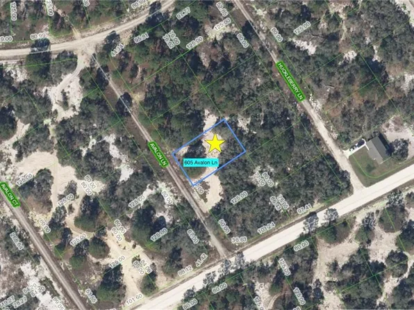 605 Avalon LN, LAKE PLACID, FL 33852