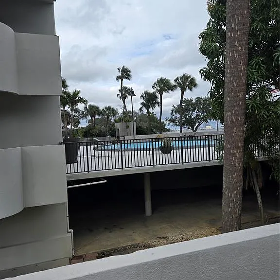 4141 Bayshore Blvd S #1502 — Photo 12