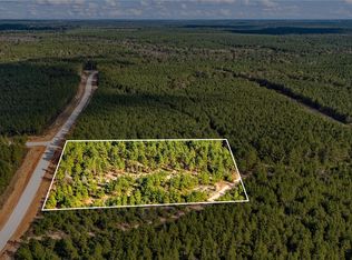 12082-12090 Compassion Ln, Willis, TX 77378