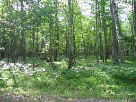 5th image of Oakwood Dr Lot 21