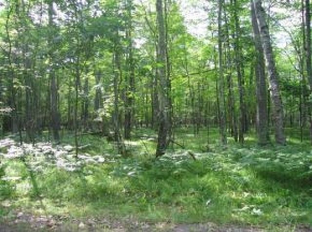 2nd image of LOT 21 Oakwood Dr Lot 21