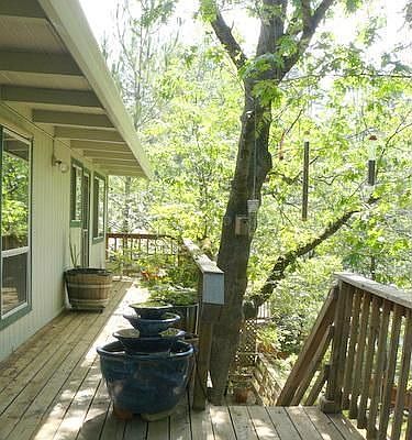 Like living in a tree house