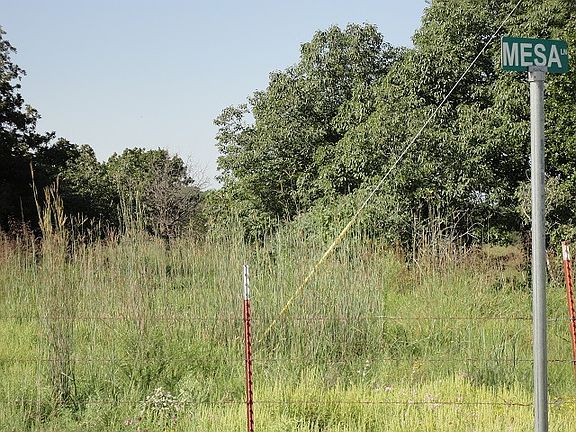 NE Corner of property