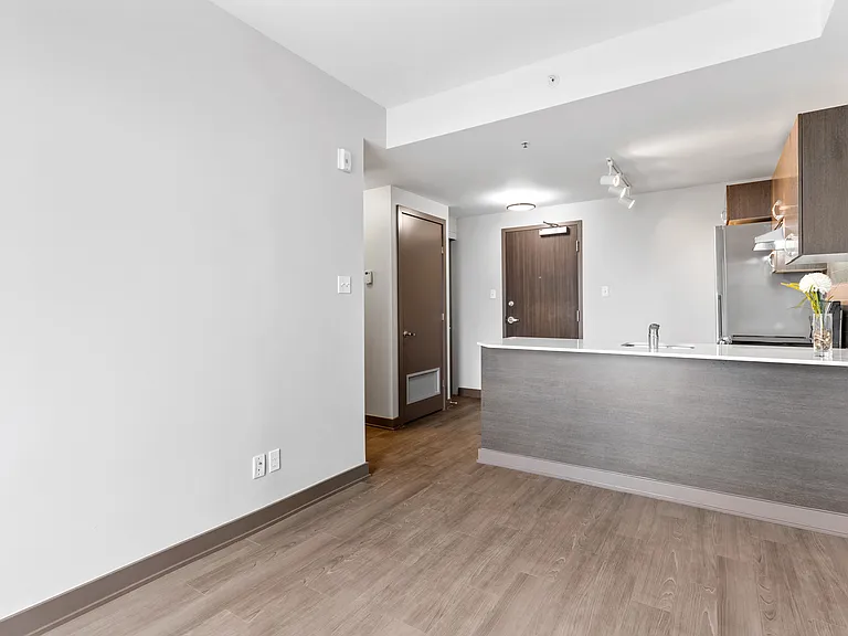 169 Lisgar St — Photo 52