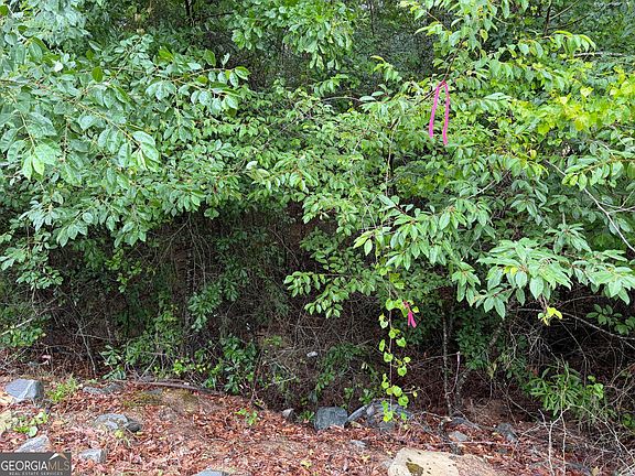 5th image of 0 Jw Miller Rd
