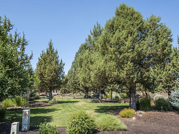 3rd image of 285 Vista Rim Dr