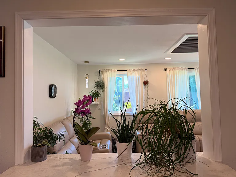 14541 Dehia St — Photo 11