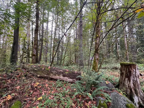 E Wilson Ave, Welches, OR 97067