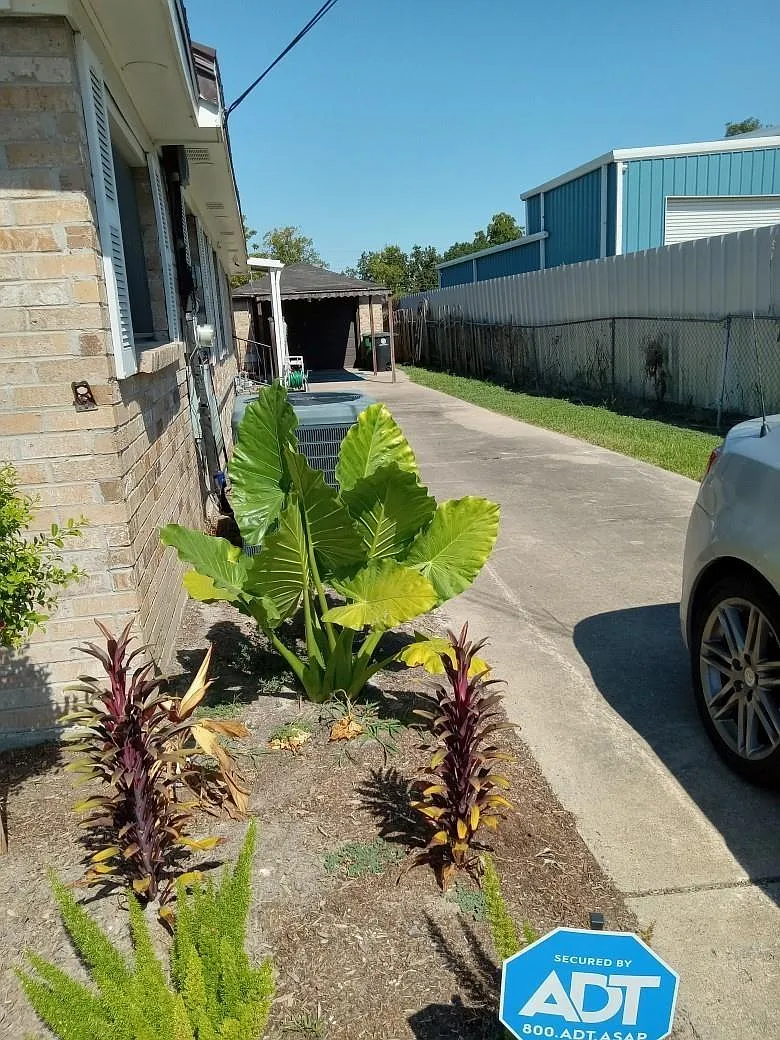 3 bed, 2.0 bath, 1484 sqft, $1,800 — Photo 4