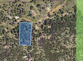 996 Rams Horn Rd, Estes Park, CO 80517