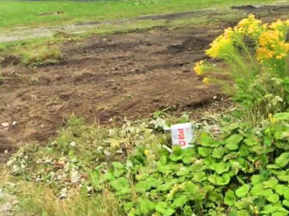 49 School St, Cape Breton, NS B1A 1J3