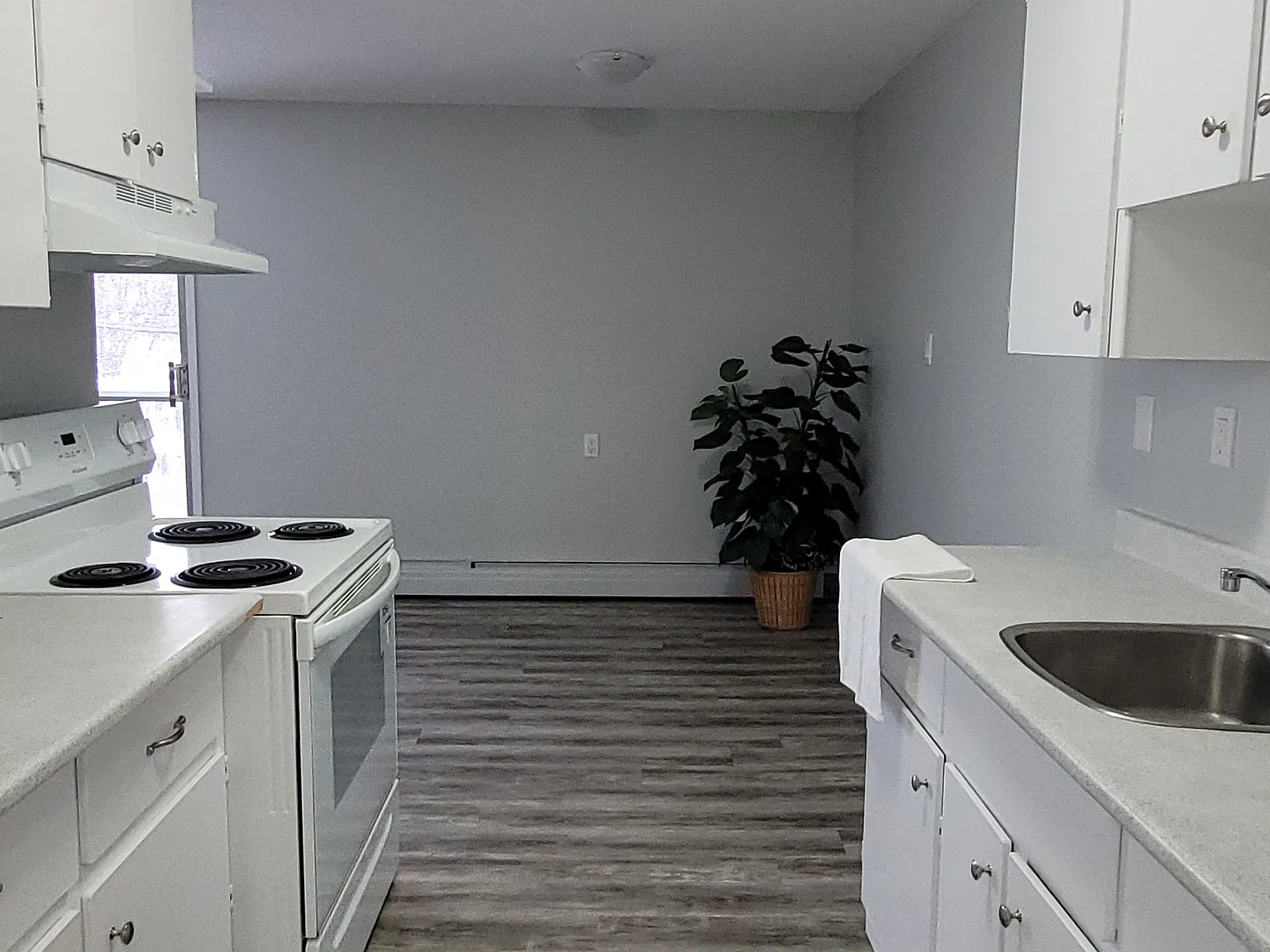 Rosewood — Photo 4