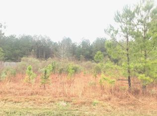 34189 Ambrose Hoover Rd, Tickfaw, LA 70466