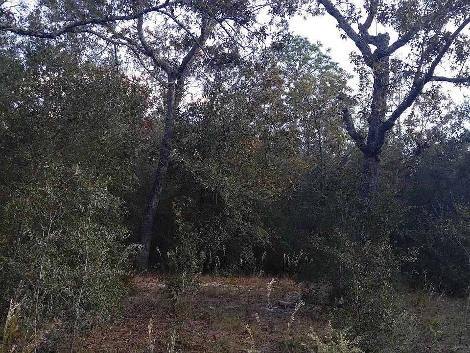 2nd image of 6347 Baylor Ave