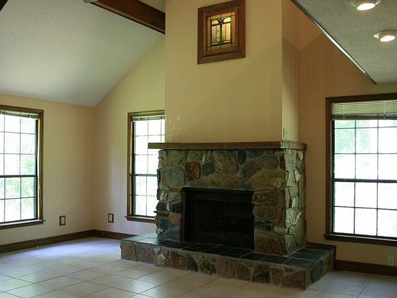 Wood burning fireplace