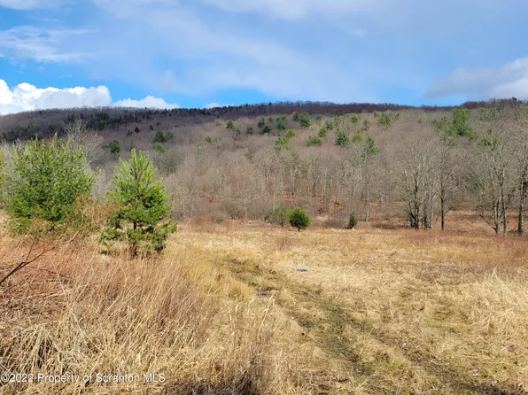 786 Steam Hollow Rd, Hallstead, PA 18822