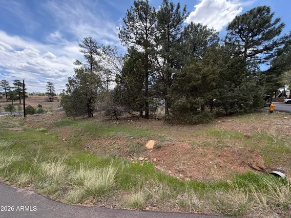 261 S 1ST Drive #4, Show Low, AZ 85901