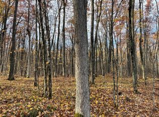 0 Woodale Rd, Birchwood, WI 54817