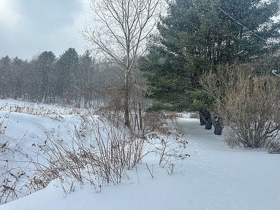 5th image of 11739 W Buffalo Rd