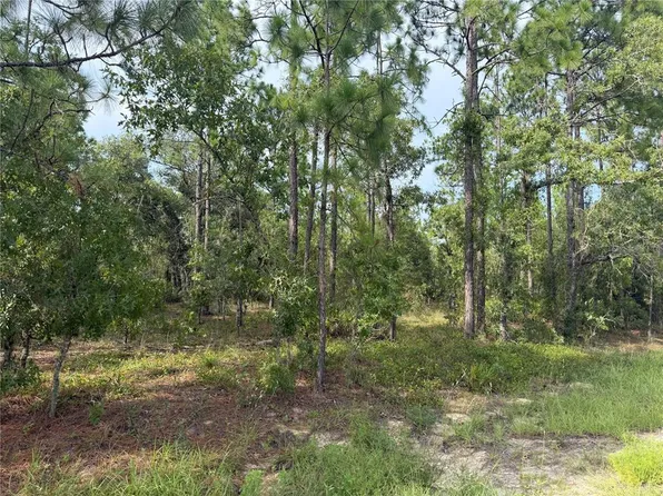 SW 88 STREET LOT 2, DUNNELLON, FL 34432