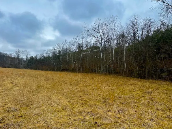 0 Nickels Rd, Leon, WV 25123