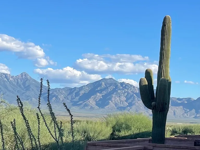 Right view from backyard.