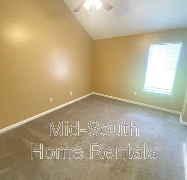 4417 Willow Springs Cv — Photo 10