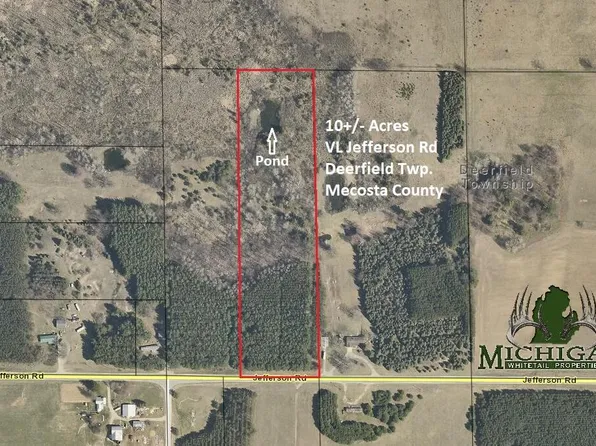 Jefferson Rd, Morley, MI 49336