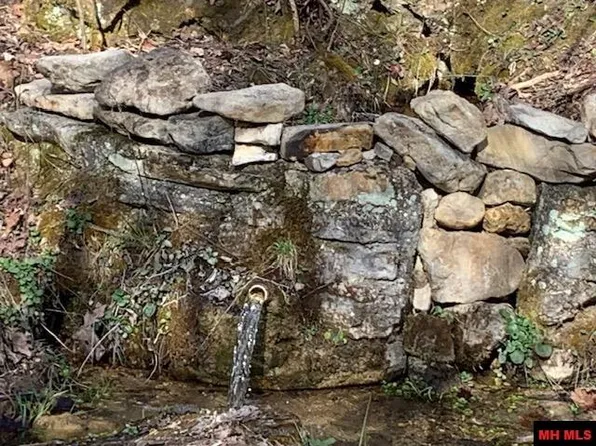 15000 Mc #6064, Flippin, AR 72634