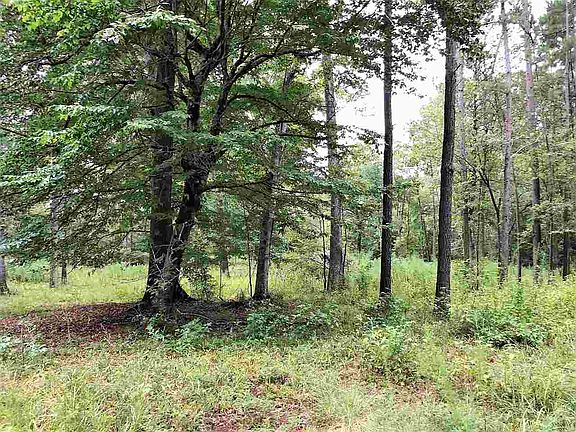 2nd image of 647 County Road 2829