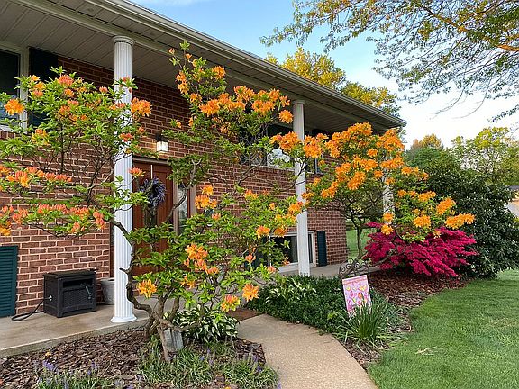 Beautiful Springtime View!