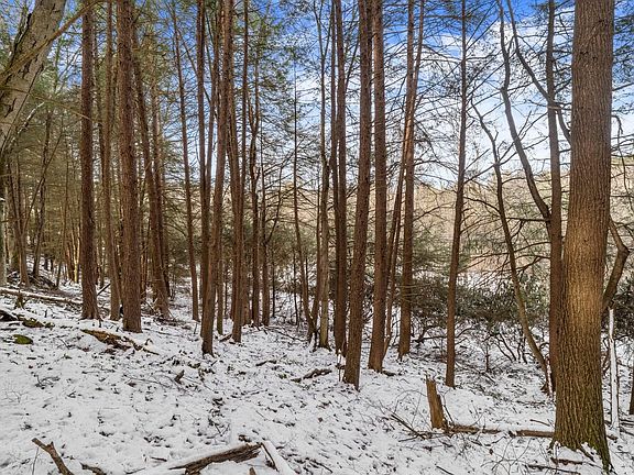 4th image of 0 Frenchville Rd