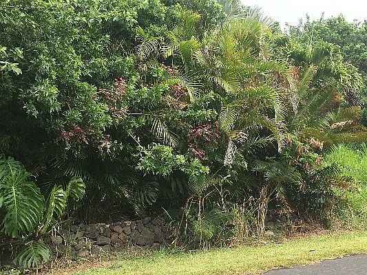 2nd image of Kaulua St Lot 376