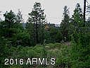 4th image of 34 County Road 2277 (Nbl Mtn Est) Road #4