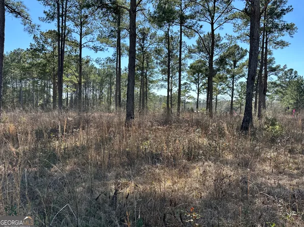 LOT 3 Pine Lakes Dr, Cairo, GA 39828