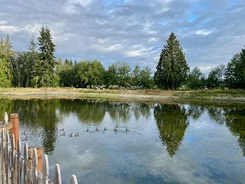 McFarland Dr — Photo 25