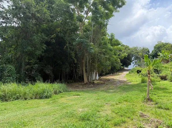 Carr 304 Barrio Jaguitas Ward, Hormigueros, PR 00660