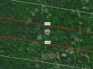 Lake Ridge Rd, Narrowsburg, NY 12764