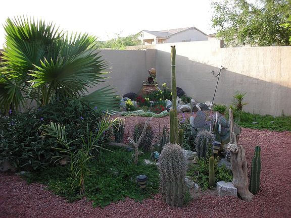 back yard landscape