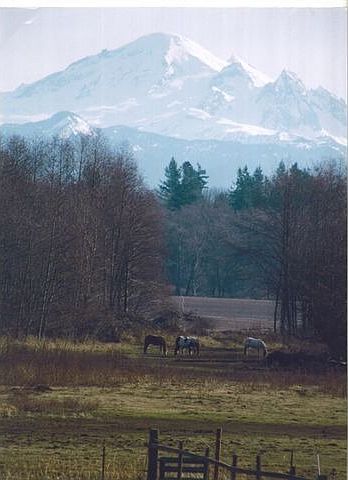 Amazing Mt Baker view!