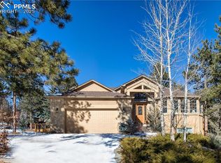 9070 Picabo Rd, Cascade, CO 80809