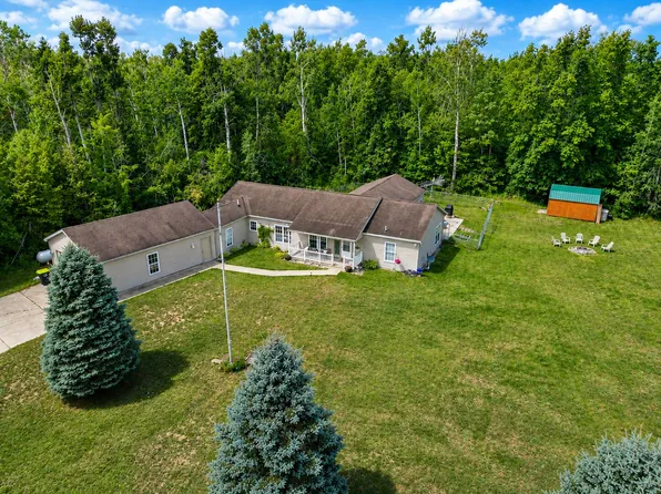 9799 Skytrails Cir, Mancelona, MI 49659