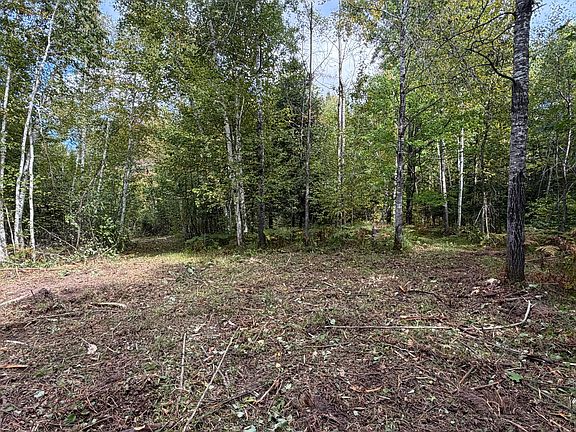 4th image of Sand Creek Rd