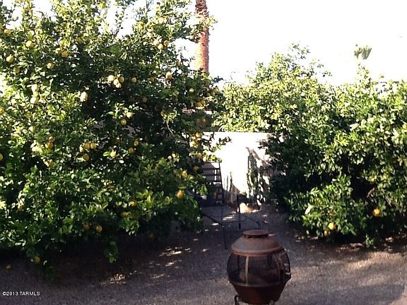5th image of 9109 N Palm Brook Dr