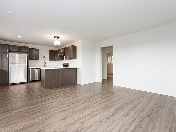 Living room and kitchen