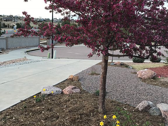 View from the front door